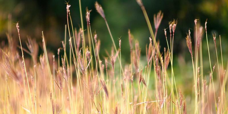 从通勤到剧院：汽车音响系统升级全攻略，不同预算与车型的改装方案解析