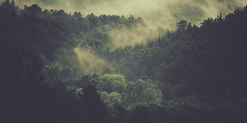 汽车资讯怎么用？三大核心板块（驾驶技巧、行车易、保养知识）深度解析与实战指南