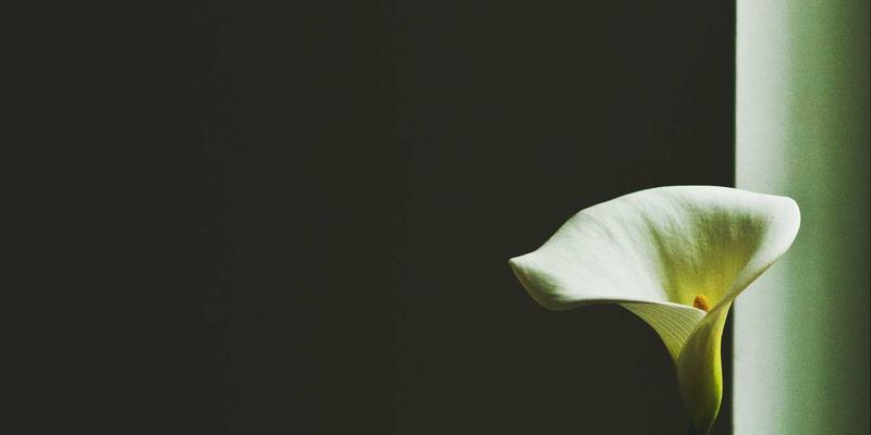 混动、增程、纯电：谁才是真正的“省钱王”？长期使用成本深度揭秘