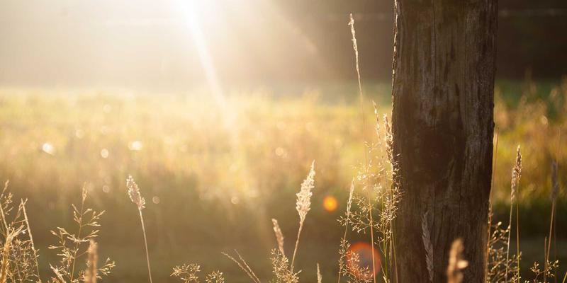 燃油添加剂是智商税吗？直喷、电喷发动机积碳清理与预防全解析