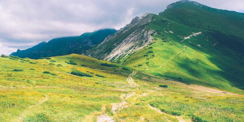 纯电、插混、增程式：谁才是真正的“省”钱之王？算清五年用车成本账